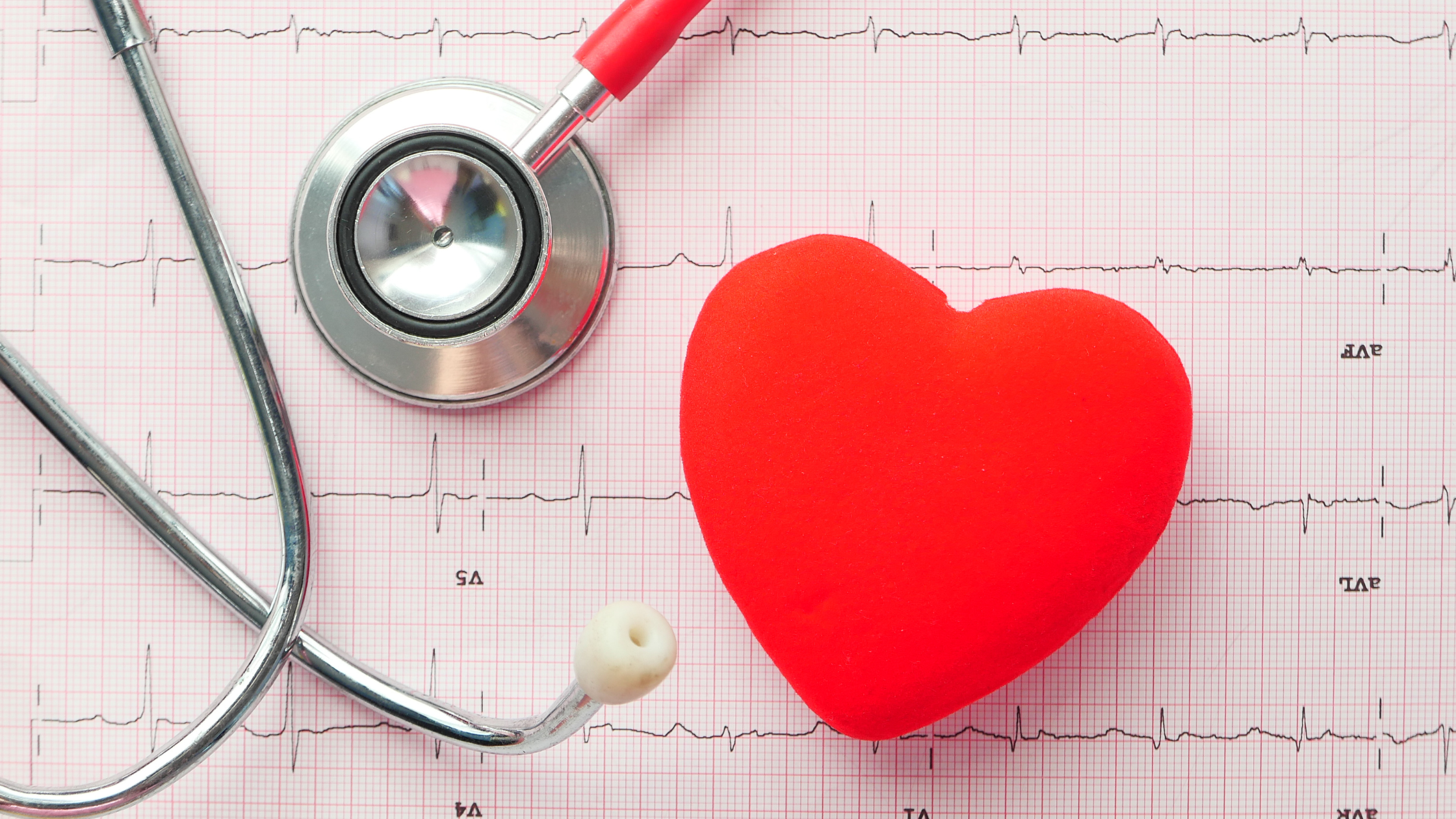Read more about the article Guard Your Heart: A Comprehensive Guide to Heart Health.